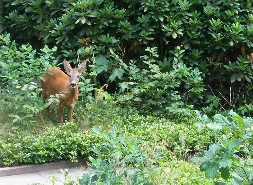 Hotel Woudschoten Zeist Bagian luar foto